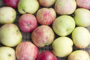 Similar image 6555888