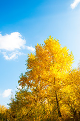 Similar image 6555930