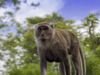 Similar image 6556129