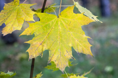 Similar image 6556246