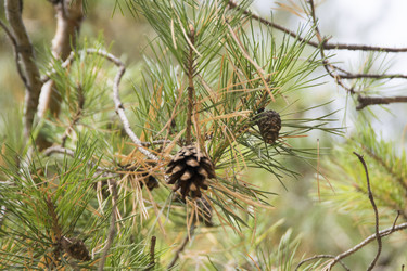 Similar image 6556250