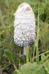 Similar image 6556251