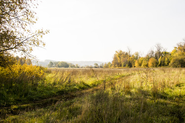 Similar image 6556254