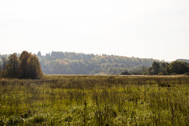 Similar image 6556255