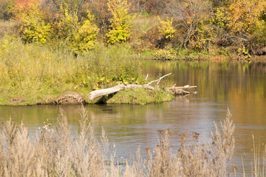 Similar image 6556256