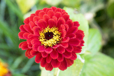 Similar image 6556260