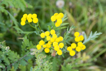 Similar image 6556265