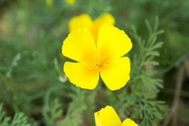 Similar image 6556273