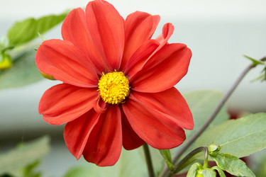 Similar image 6556275