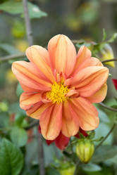 Similar image 6556276