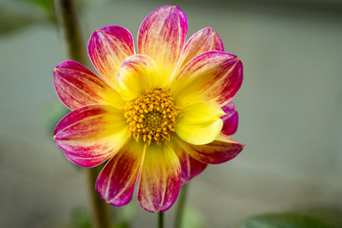 Similar image 6556278