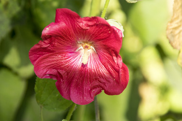 Similar image 6556279