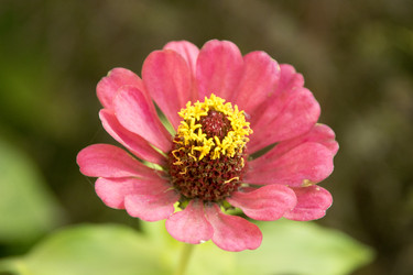 Similar image 6556280