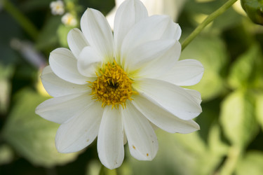 Similar image 6556281