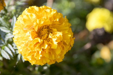 Similar image 6556283