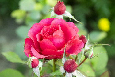 Similar image 6556286