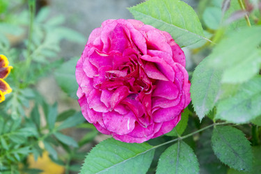 Similar image 6556287