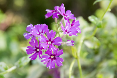 Similar image 6556288