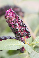 Similar image 6556289