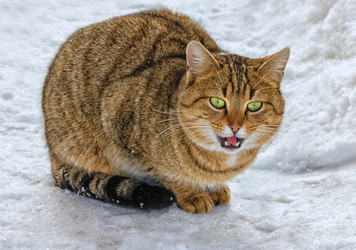 Similar image 6556295