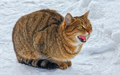 Similar image 6556297