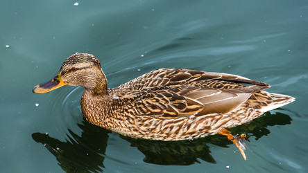 Similar image 6556324