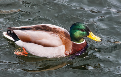 Similar image 6556327