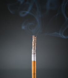 Similar image 6556353