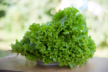 Similar image 6556623