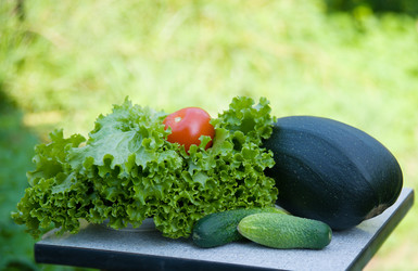 Similar image 6556625