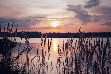 Similar image 6556649