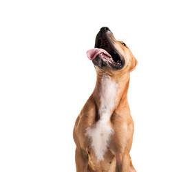 Similar image 6556650