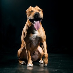 Similar image 6556662