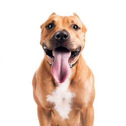 Similar image 6556664