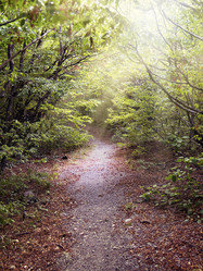 Similar image 6556757