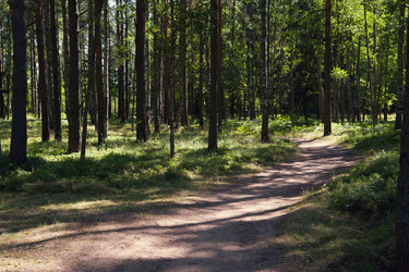 Similar image 6556761