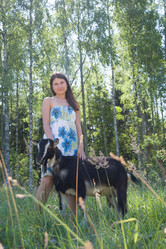 Similar image 6556772