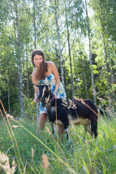 Similar image 6556775