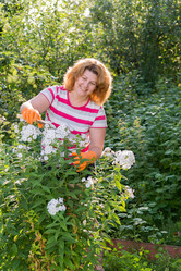 Similar image 6556896