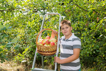 Similar image 6556940