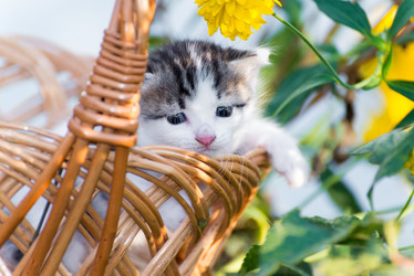 Similar image 6556941