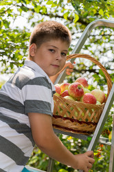 Similar image 6556945