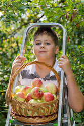 Similar image 6556947