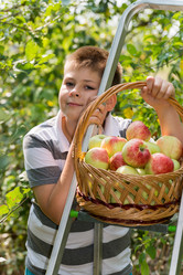 Similar image 6556948