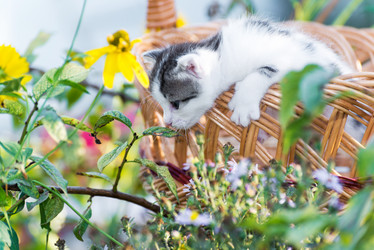 Similar image 6556970