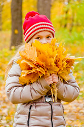 Similar image 6557132