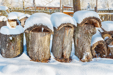 Similar image 6557146