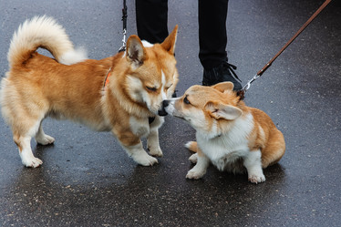 Similar image 6557149