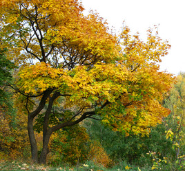 Similar image 6557608