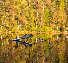 Similar image 6557620